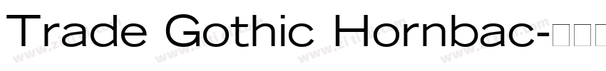 Trade Gothic Hornbac字体转换